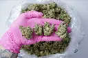 Lemonatti 5-6-26 PINKJPG.JPGEdit - 00000004.webp