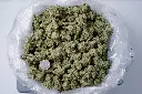 Lemonatti 5-6-26 BAG.JPGEdit - 00000001.webp