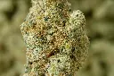 Peanut Butter Shake Macro 5-5-26 Edit - 00000003 (1).webp