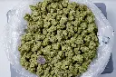 Garlic Badder BAG 5-12-26.JPG Edit - 00000001.webp
