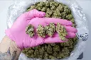 Black Domina 5-12-26 PINK.JPG Edit - 00000004.webp