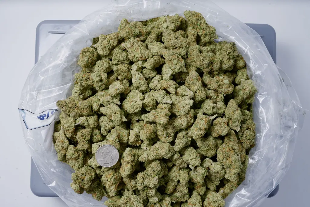 Blanco Indoor 5-12-26 BAG.JPG Edit - 00000001.webp