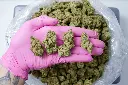 Blanco Indoor 5-12-26 PINK.JPG Edit - 00000004.webp