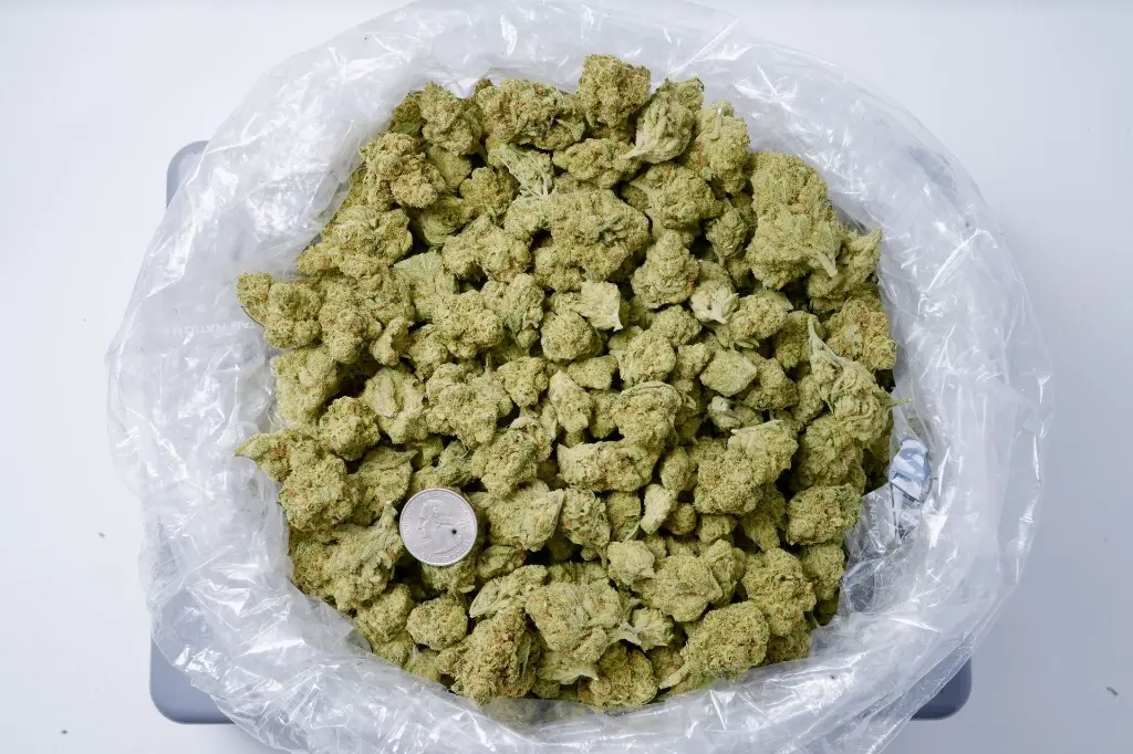 American Pie Indoor 5-14-26 BAG.webp