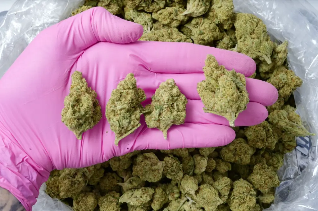 American Pie Indoor 5-14-26 PINK.webp