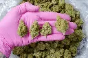 American Pie Indoor 5-14-26 PINK.webp