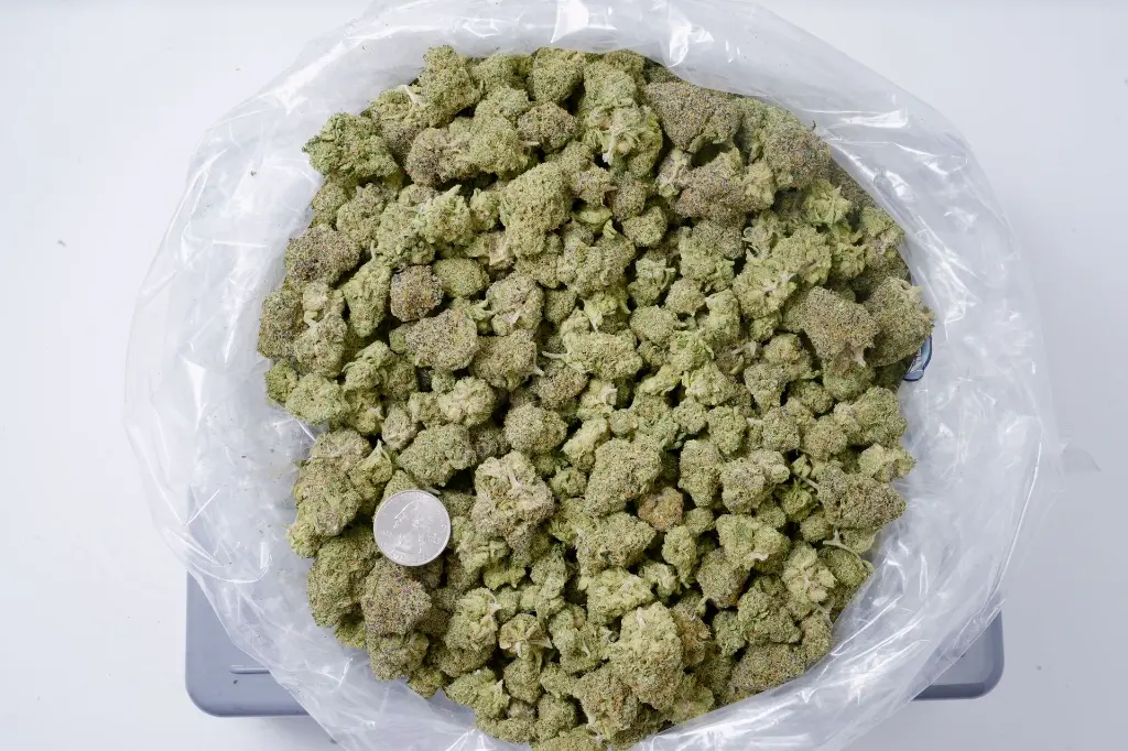 Purple Thai 5-18-26 BAG Edit - 00000001.webp
