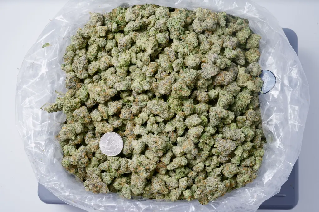Pinnacle Mediums 5-18-26 BAG Edit - 00000001.webp