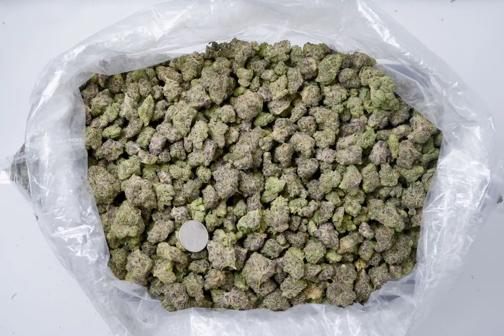 Black Runtz 5-26-26 BAG Edit.webp