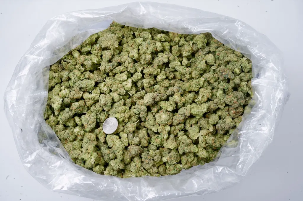 Grapple Pie Indoor 5-26-26 BAG Edit.webp