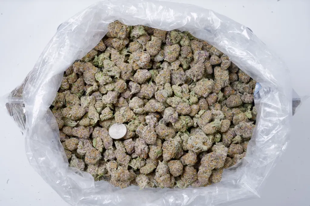 White Rhino Indoor 5-26-26 BAG Edit.webp