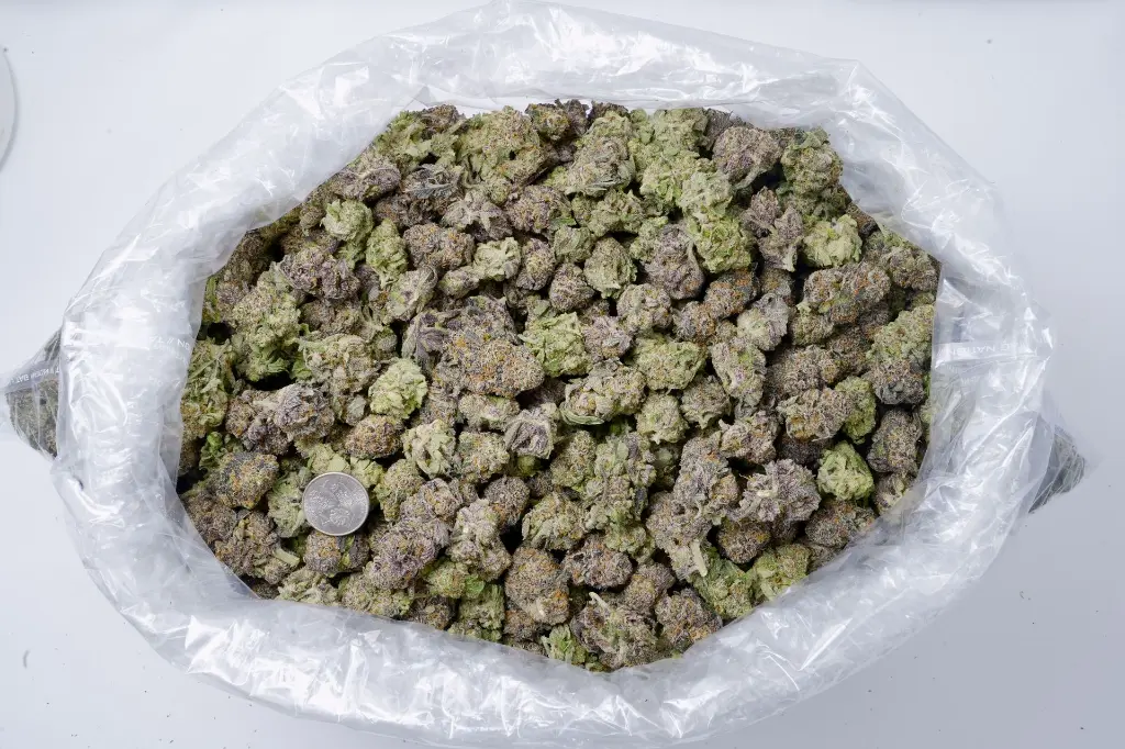 Grape Gotti 5-26-26 BAG Edit.webp