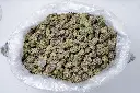 Grape Gotti 5-26-26 BAG Edit.webp