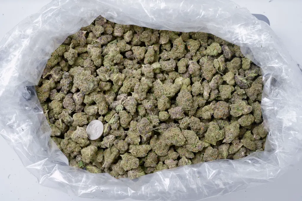 TK 5-26-26 BAG EDIT (1).webp