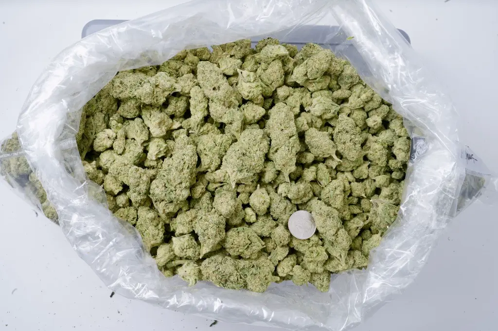LA Bunker 5-26-26 BAG Edit..webp
