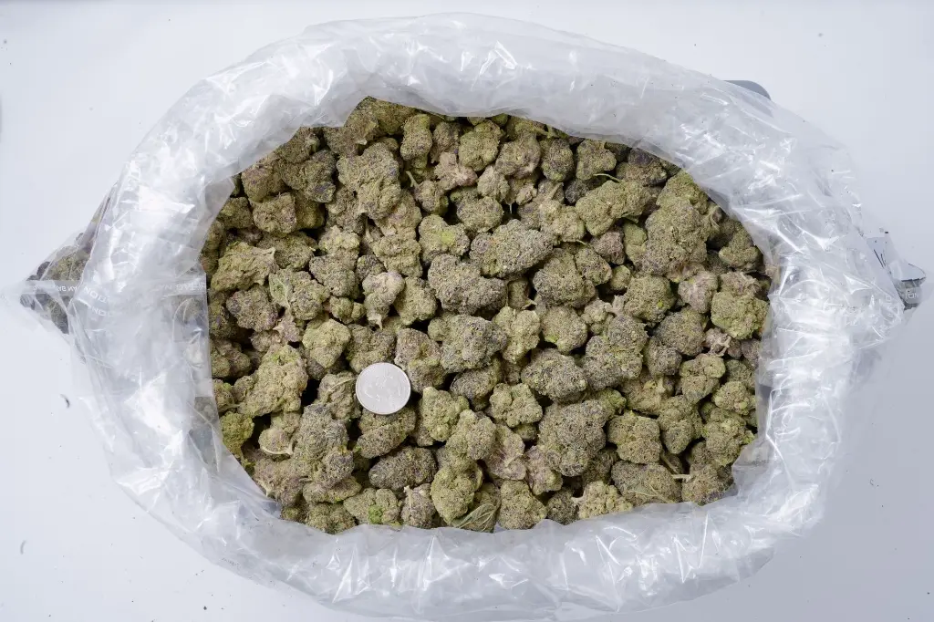 Zoap Indoor 5-26-26 BAG Edit.webp