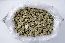 Zoap Indoor 5-26-26 BAG Edit.webp