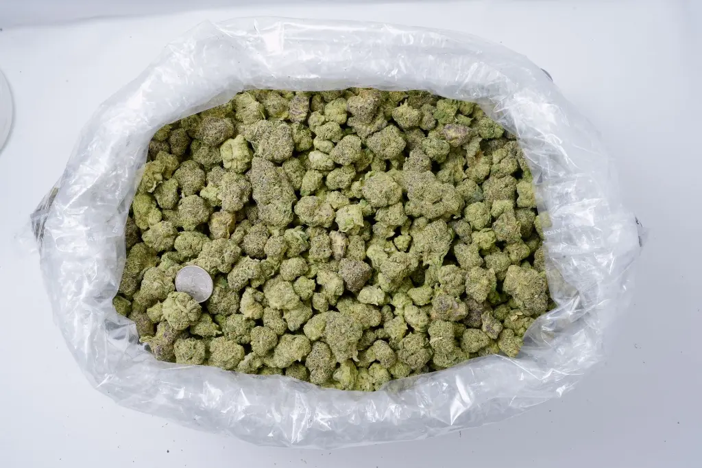 Head Hunters 5-26-26 BAG Edit.webp
