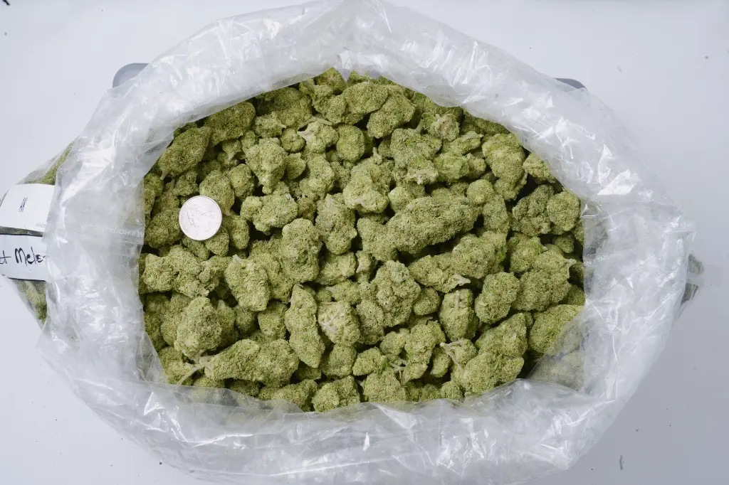 AK Indoor 5-26-26 BAG Edit.webp