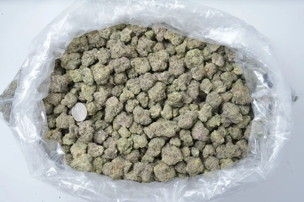 Gravy 5-26-26 BAG Edit.webp