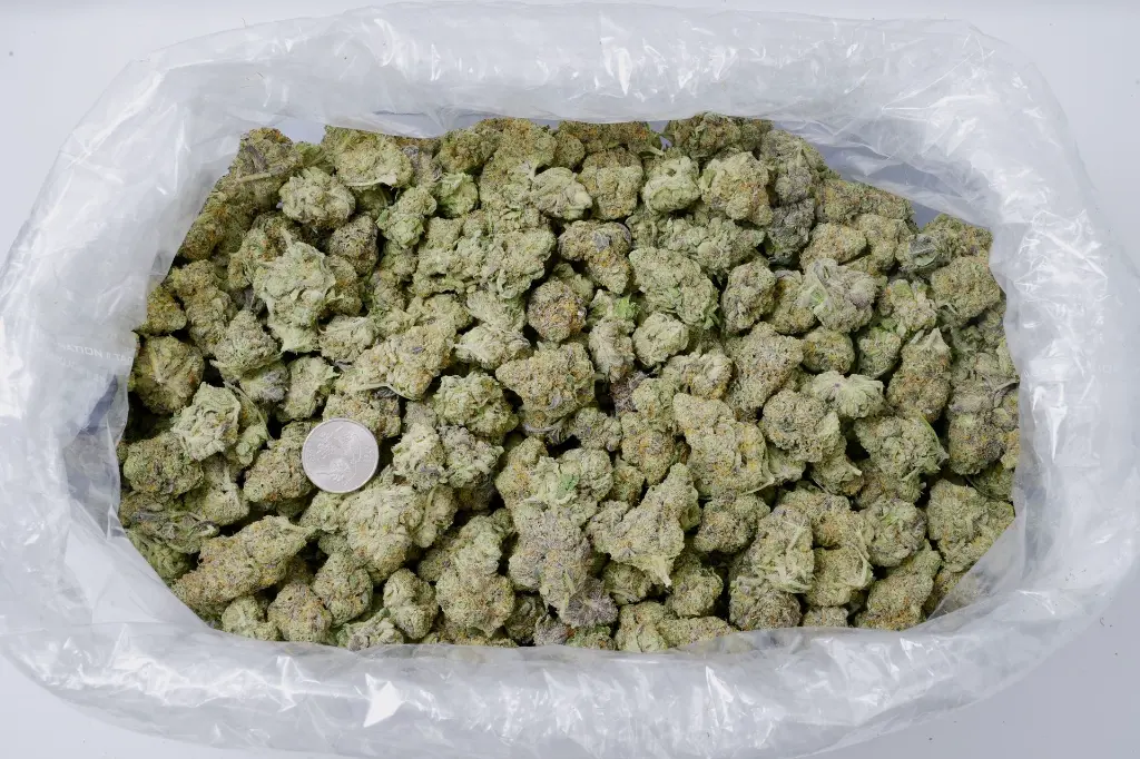 Carmellow Kush 5-26-26 BAG Edit (1).webp