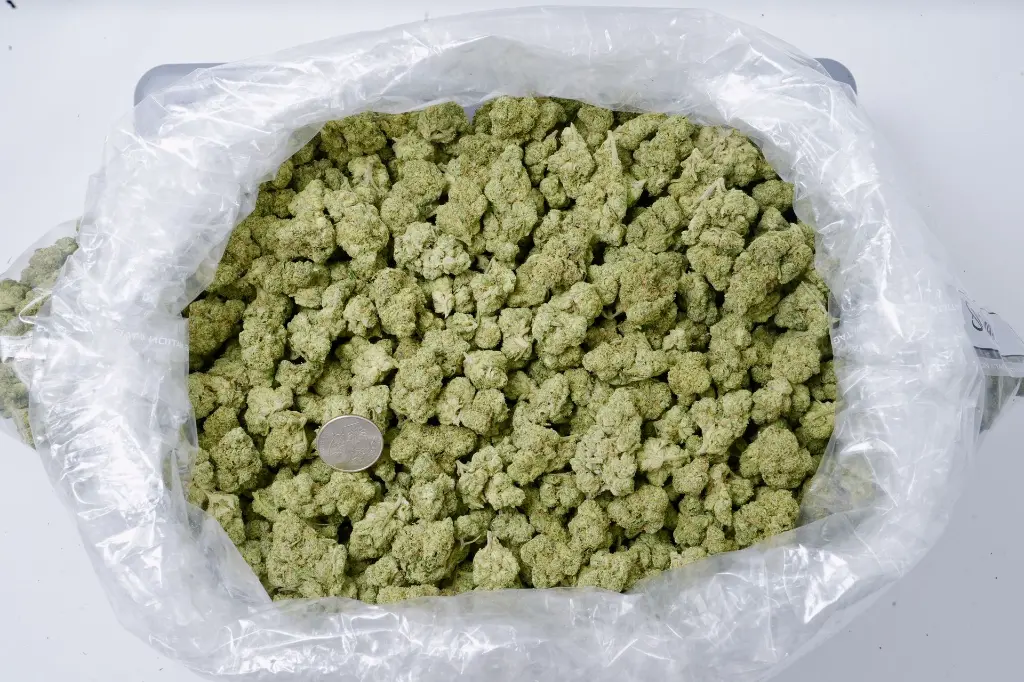 Wedding Cake 5-26-26 BAG (1).webp