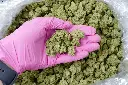Wedding Cake 5-26-26 PINK (1).webp