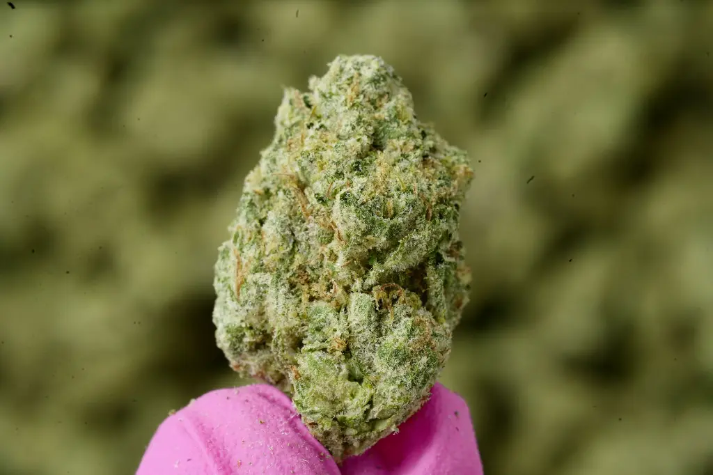 Wedding Cake 5-26-26 MACRO (1).webp
