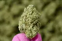 Wedding Cake 5-26-26 MACRO (1).webp