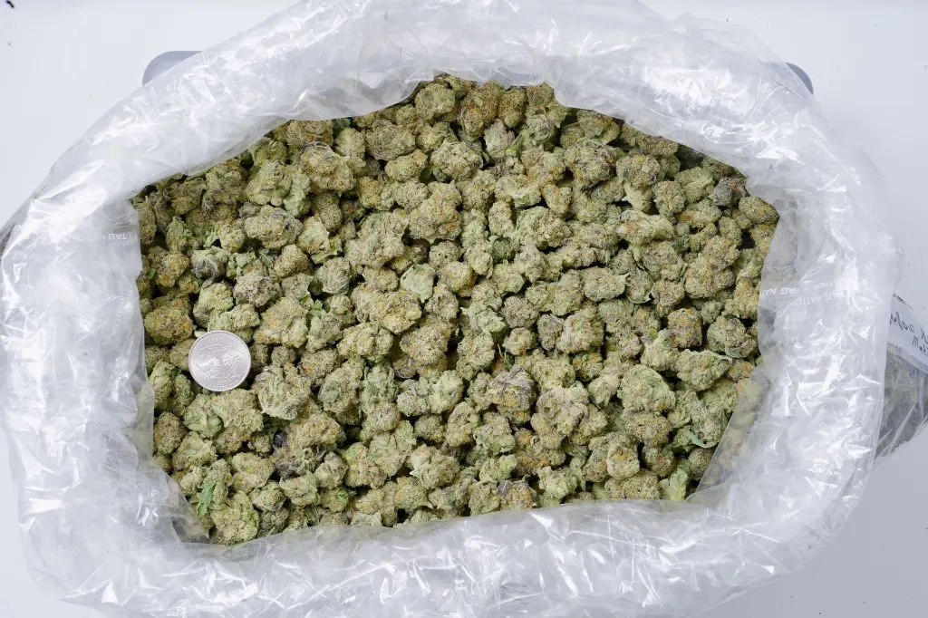 Carmel Cookies Mediums 5-26-26 BAG (1).webp
