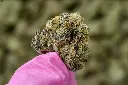 Carmel Cookies Mediums 5-26-26 MACRO (1).webp