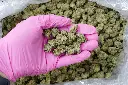 Carmel Cookies Mediums 5-26-26 PINK (1).webp