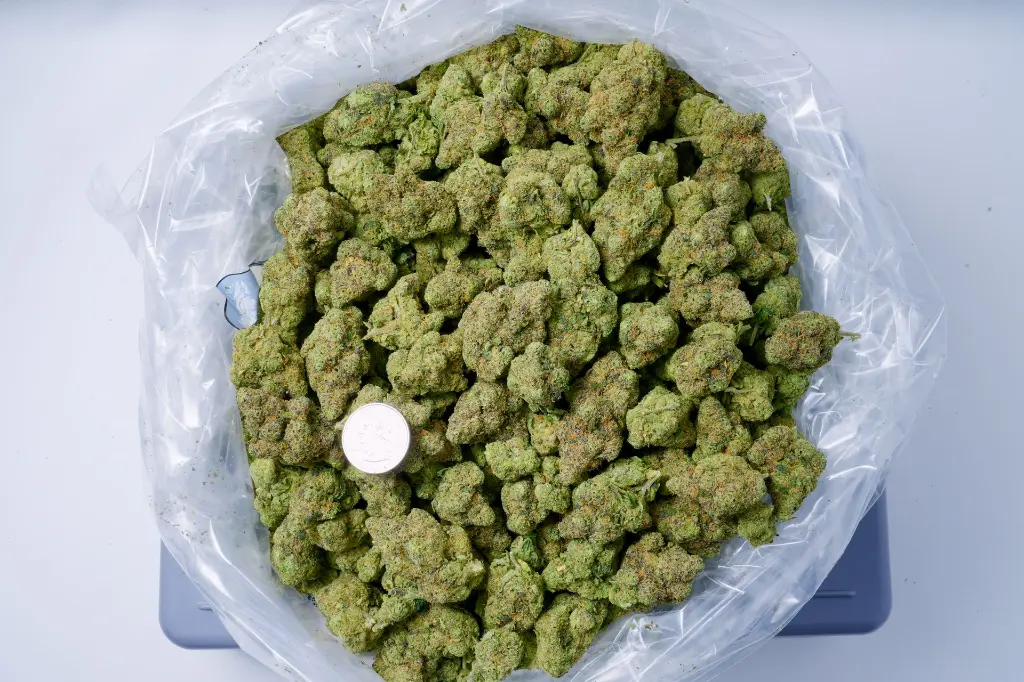 Goji OG Indoor BAG 5-28-26.webp