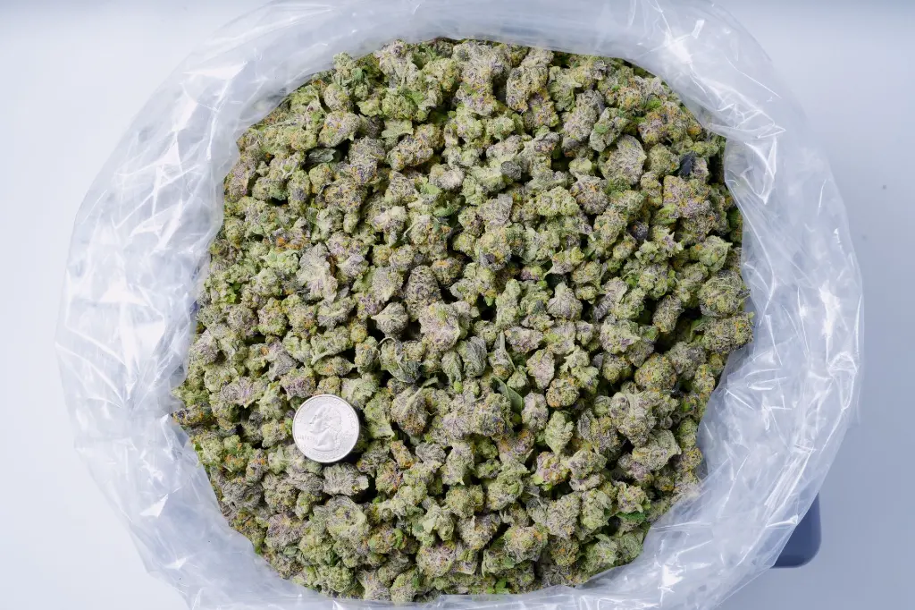 Violet Meadows Meds 5-28-26 BAG.webp