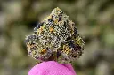 Violet Meadows Meds 5-28-26 MACRO.webp