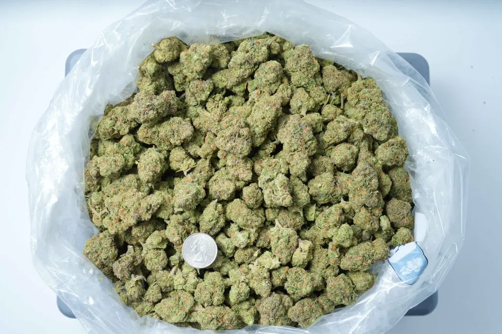 Triangle Kush BAG 6-2-26.webp