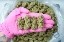 Triangle Kush PINK 6-2-26.webp