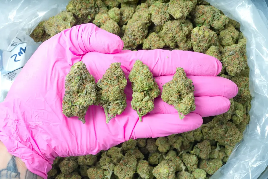 Superglue 6-2-26 PINK.webp