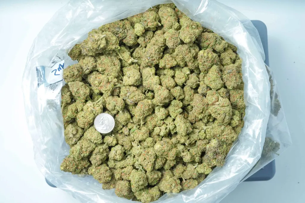 Superglue 6-2-26 BAG (1).webp