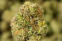 Superglue 6-2-26 MACRO (1).webp