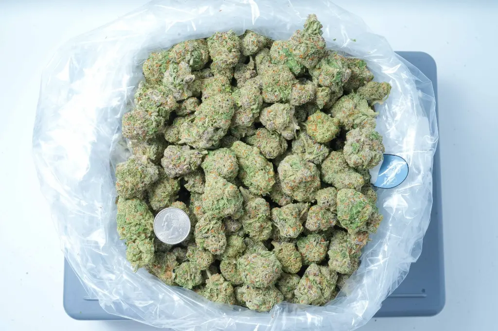 SinMintCookies 6-5-26 BAG (1).webp