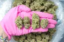 SinMintCookies 6-5-26 PINK.webp