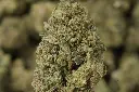 Carbon Fiber 6-5-26 MACRO.webp