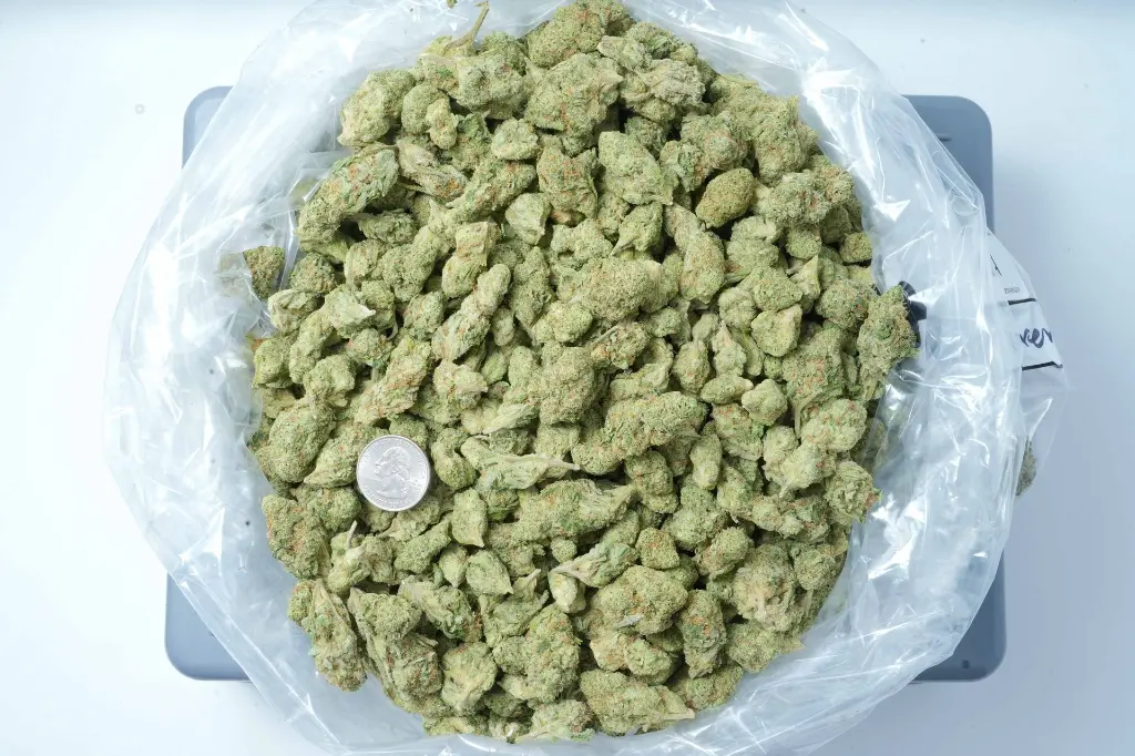 Sundae Driver 6-4-26 BAG (1).webp