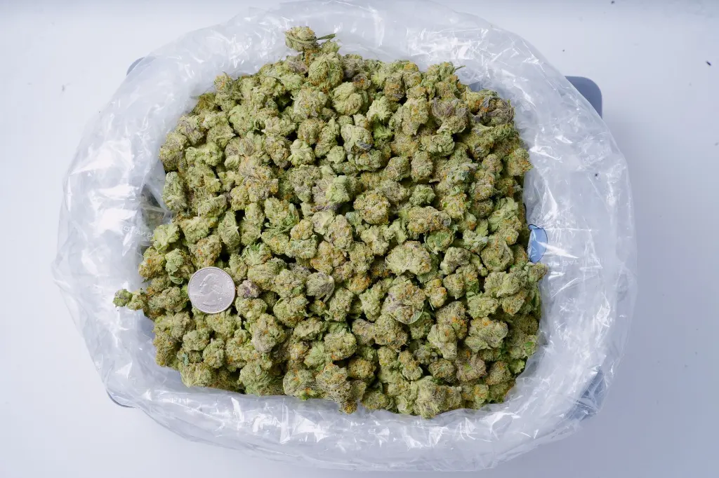 Caramellow Kush Smalls 6-26 BAG.webp