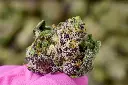 Violet Meadows Smalls 6-9-26 MACRO (1).webp