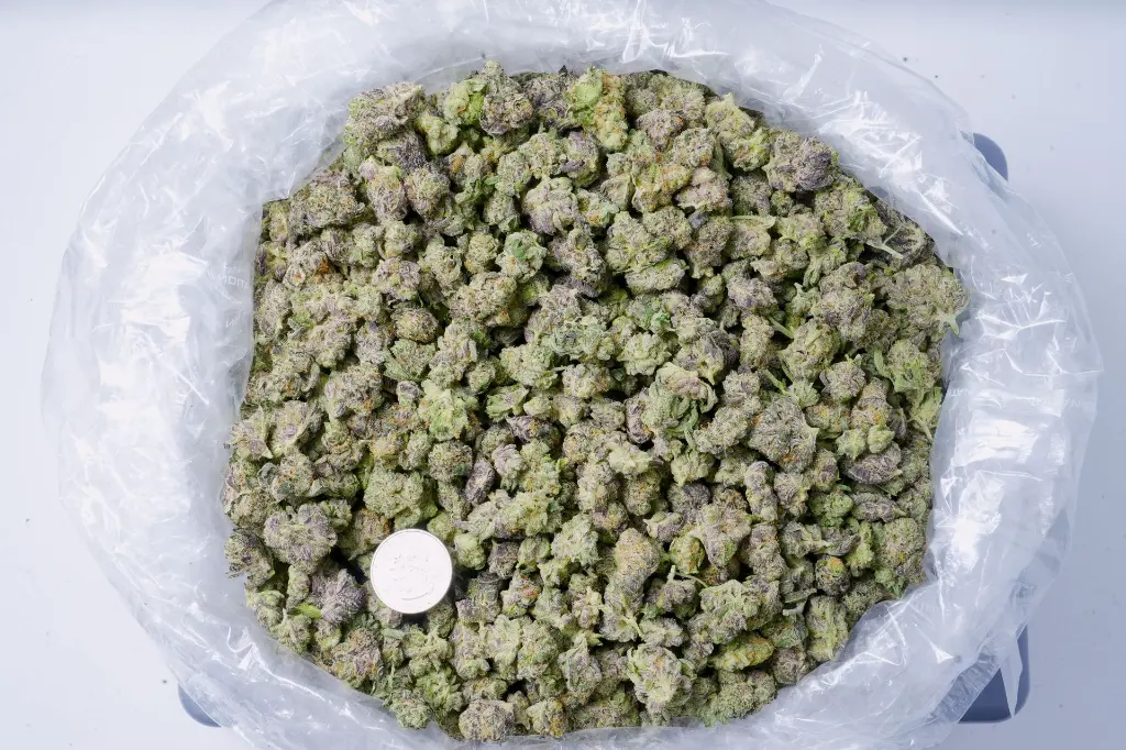 Slurty Smalls 6-9-26 BAG.webp