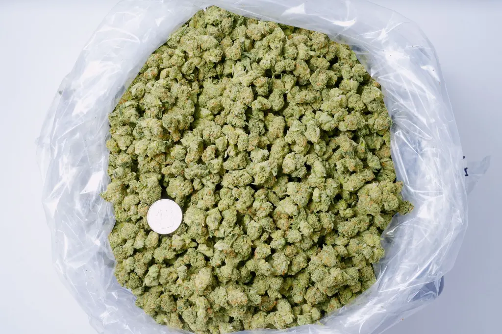 Apple Sherbet Smalls 6-10-26 BAG.webp