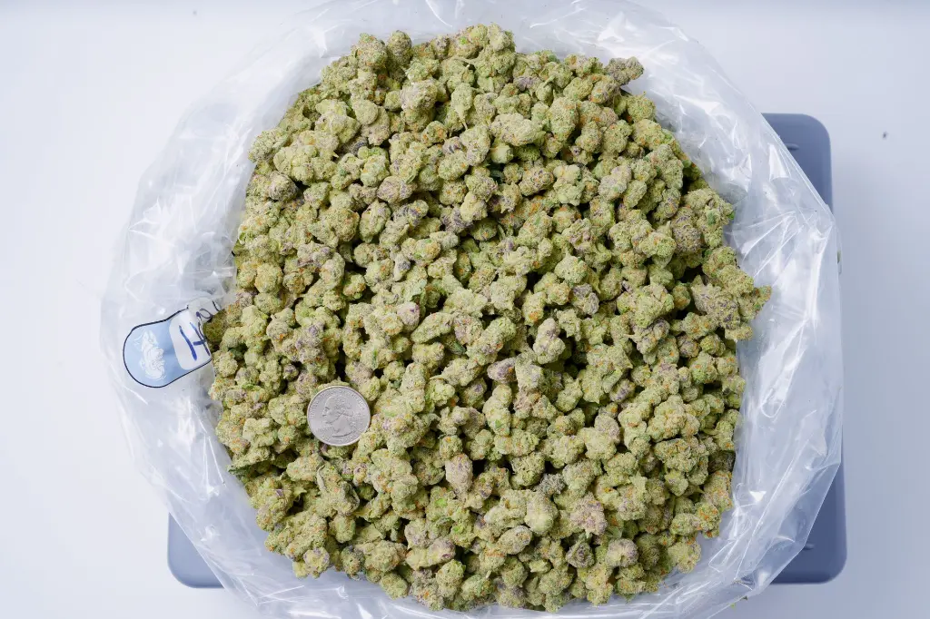 Hooch Smalls 6-10-26 BAG.webp