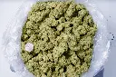 Apple Sherbet Indoors 6-10-26 BAG.webp
